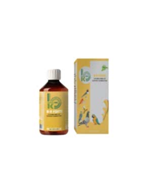 B-A Forte B Vitamini Amino Asit Elektrolit Kombinasyonu 250 ml