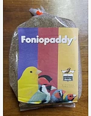 FonioPaddy Tohumu 1kg