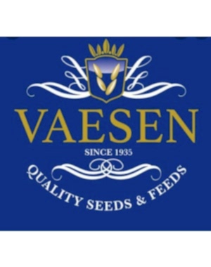 VAESEN FINCH 01