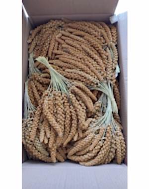 Kızıl Dal Darı 1 kg 