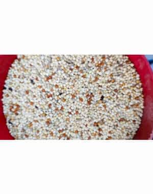 Seba %15 Aspurlu Muhabbet Kuşu Yemi 20 kg (Kargo Dahil)