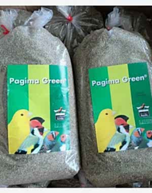 PAGİMA GREEN