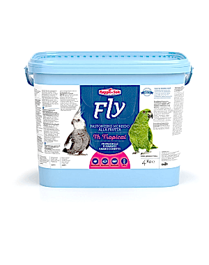 Raggio Di Sole Fly TH Tropical Meyveli Böcekli  Mama 4 kg