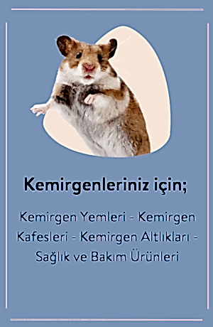 KEMİRGEN
